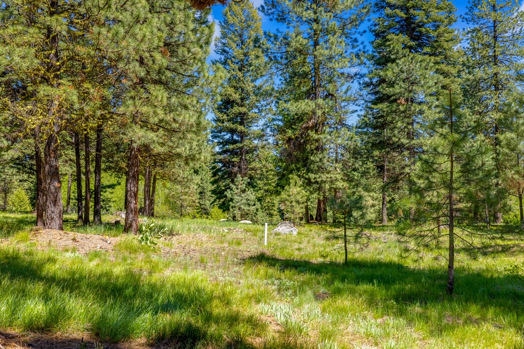 1469 Meadows Road McCall, ID 83638 - Photo 11 of 16