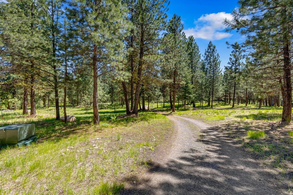 1469 Meadows Road McCall, ID 83638 - Photo 12 of 16