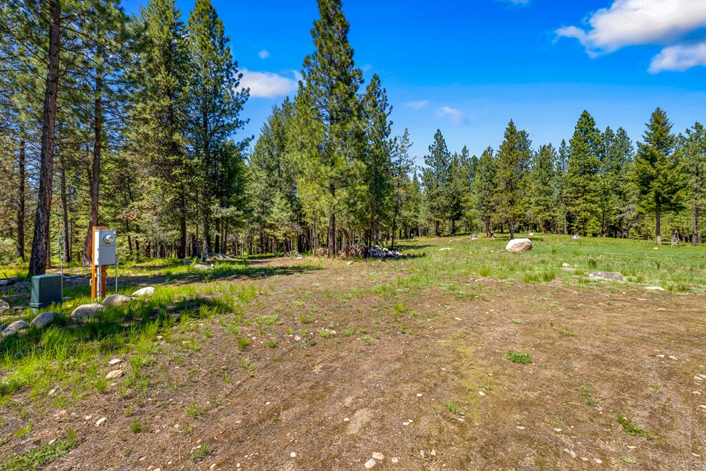 1469 Meadows Road McCall, ID 83638 - Photo 13 of 16