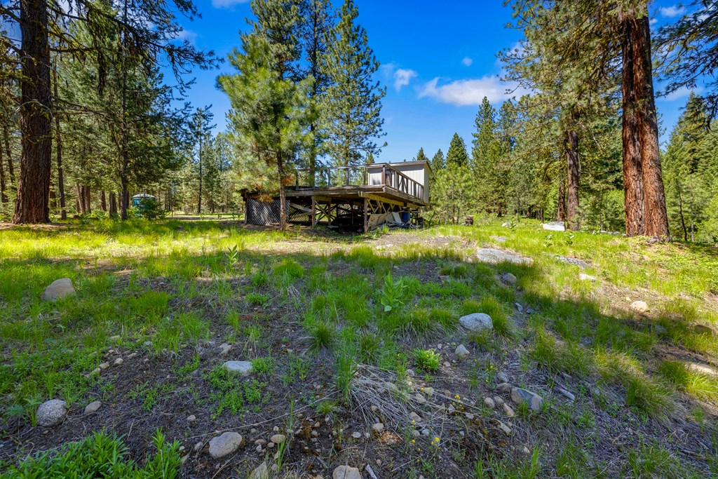1469 Meadows Road McCall, ID 83638 - Photo 15 of 16
