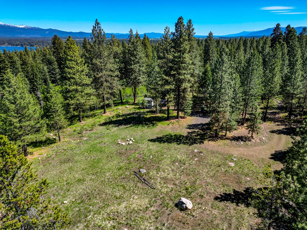 1469 Meadows Road McCall, ID 83638 - Photo 3 of 16