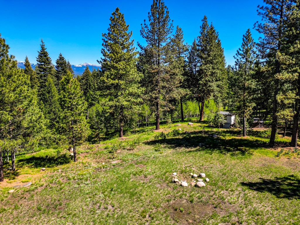 1469 Meadows Road McCall, ID 83638 - Photo 4 of 16