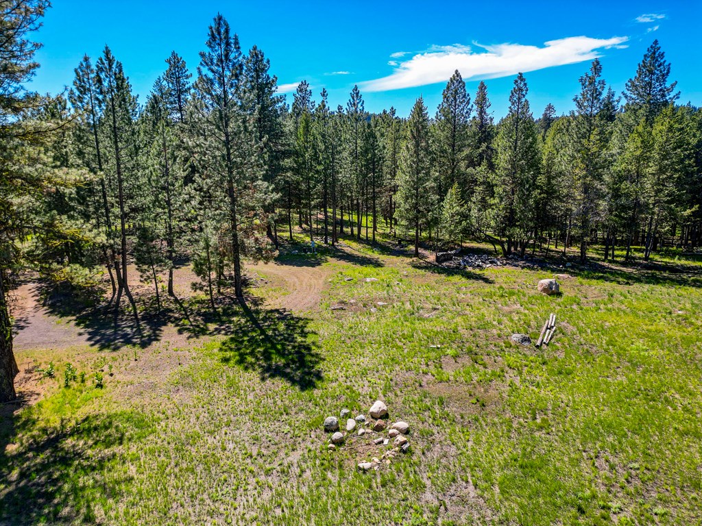 1469 Meadows Road McCall, ID 83638 - Photo 5 of 16