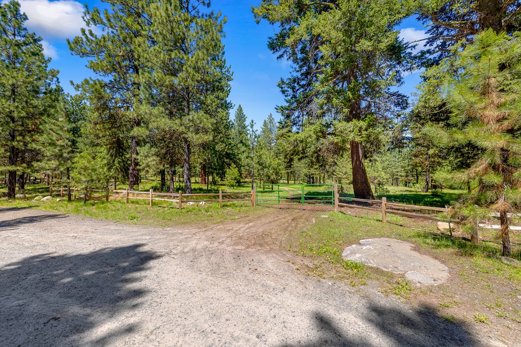 1469 Meadows Road McCall, ID 83638 - Photo 7 of 16