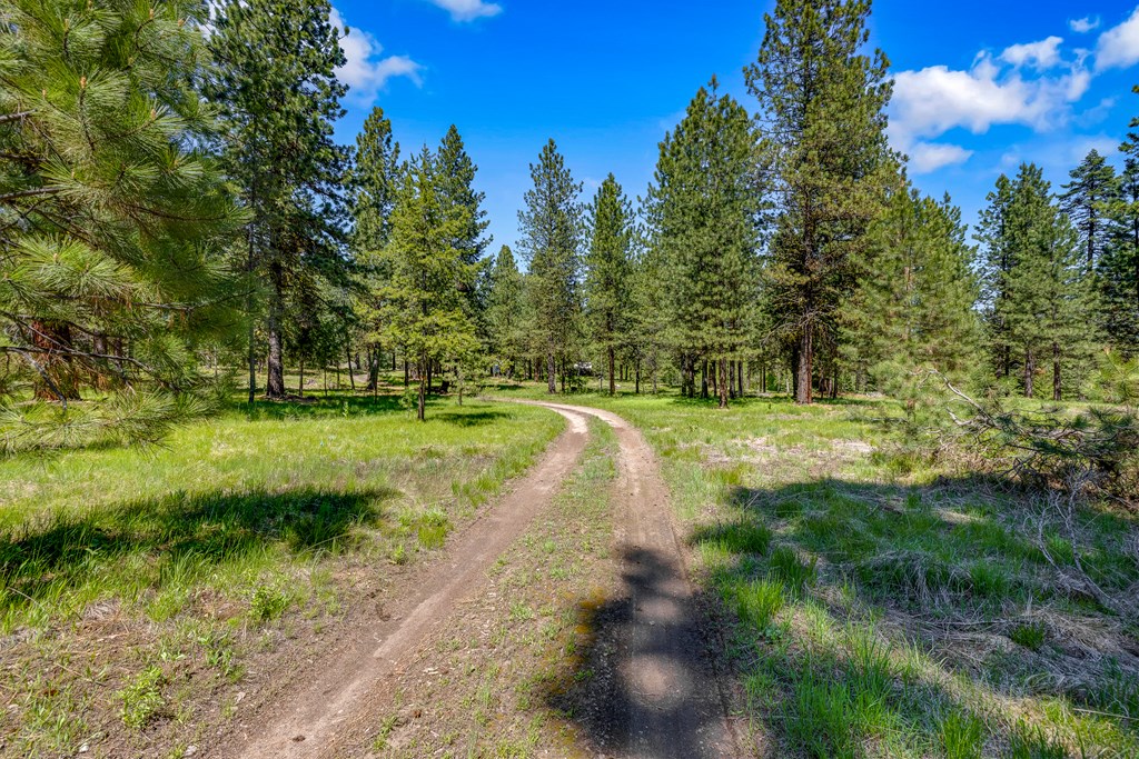 1469 Meadows Road McCall, ID 83638 - Photo 8 of 16