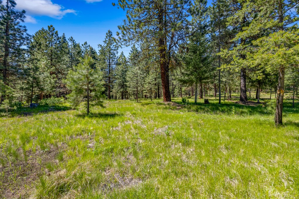 1469 Meadows Road McCall, ID 83638 - Photo 9 of 16