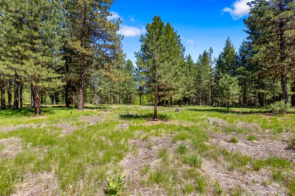 1469 Meadows Road McCall, ID 83638 - Photo 10 of 16