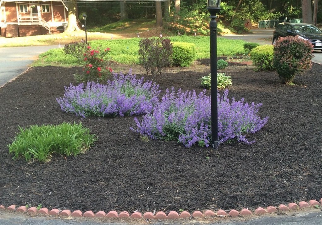45 Oak Knoll Road Natick, MA 01760 - Photo 28 of 29 Gallery Image 28