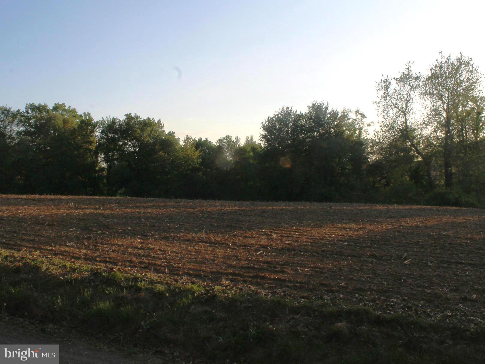 View From Lot