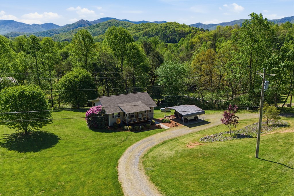 68 West Vineyard Road Hayesville, NC 28904 - Photo 11 of 46 a garden view with a sink
