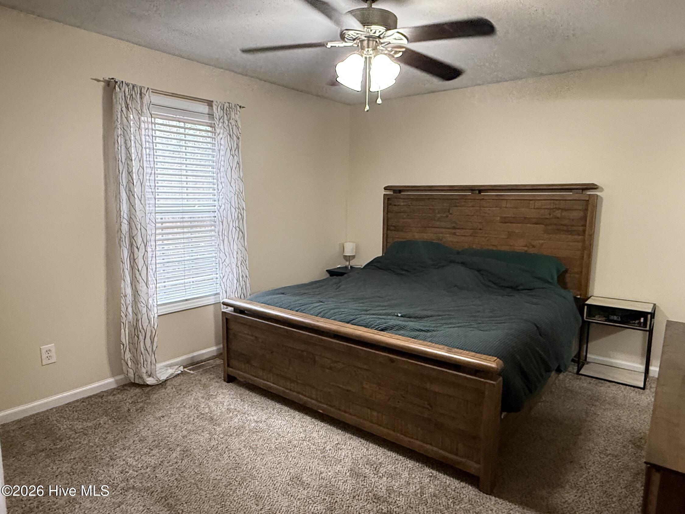 159 Edinburgh Drive Carthage, NC 28327 - Photo 7 of 15 Master Bedroom