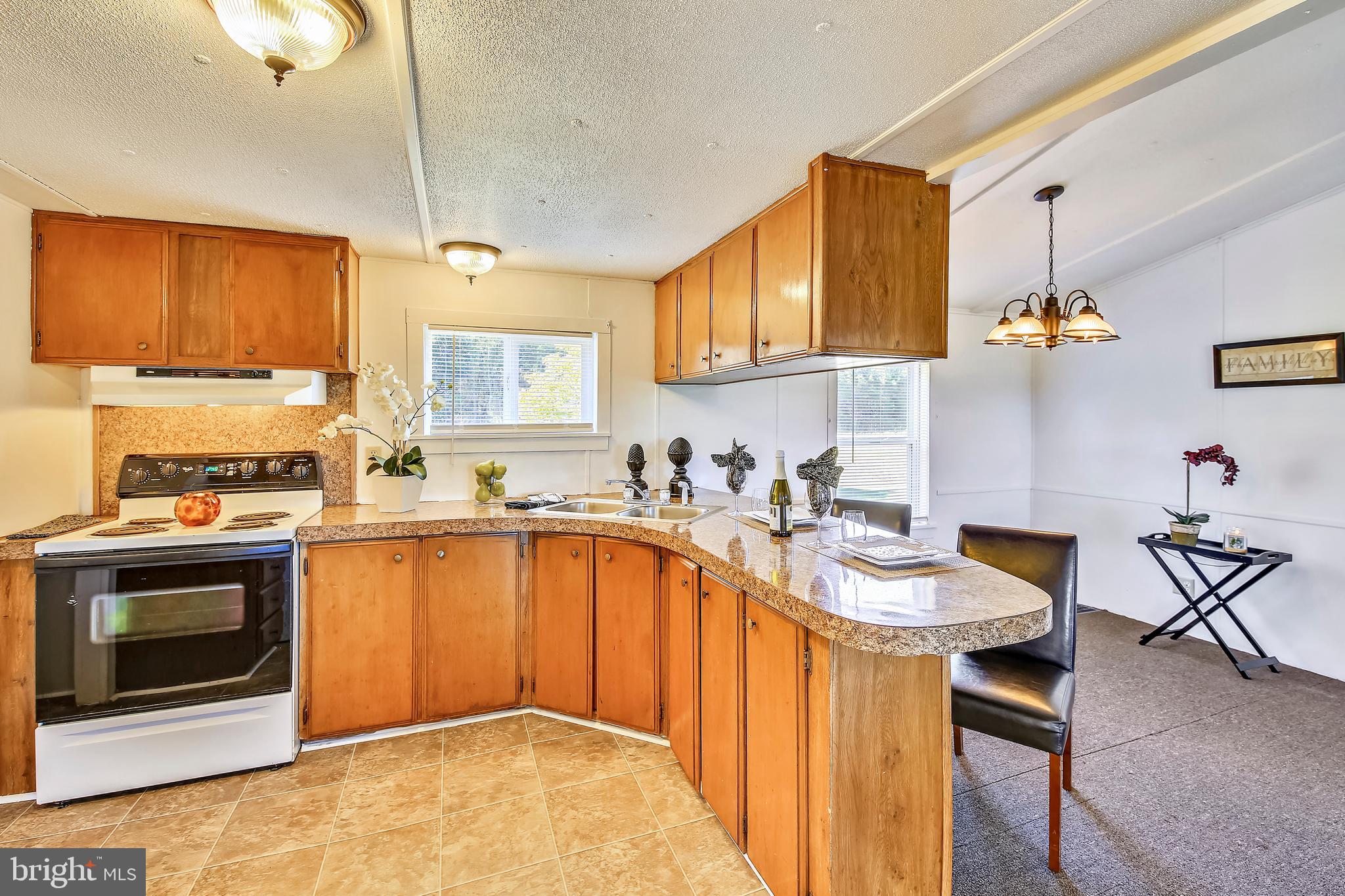 877 Cedar Hall Road Pocomoke City, MD 21851 - Photo 7 of 19