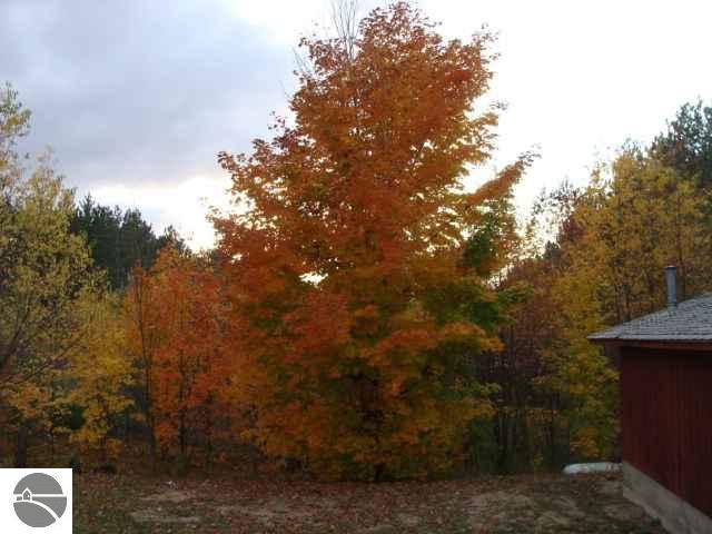 16866 Viaduct Road Copemish, MI 49625 - Photo 14 of 15 1697902-13.JPG
