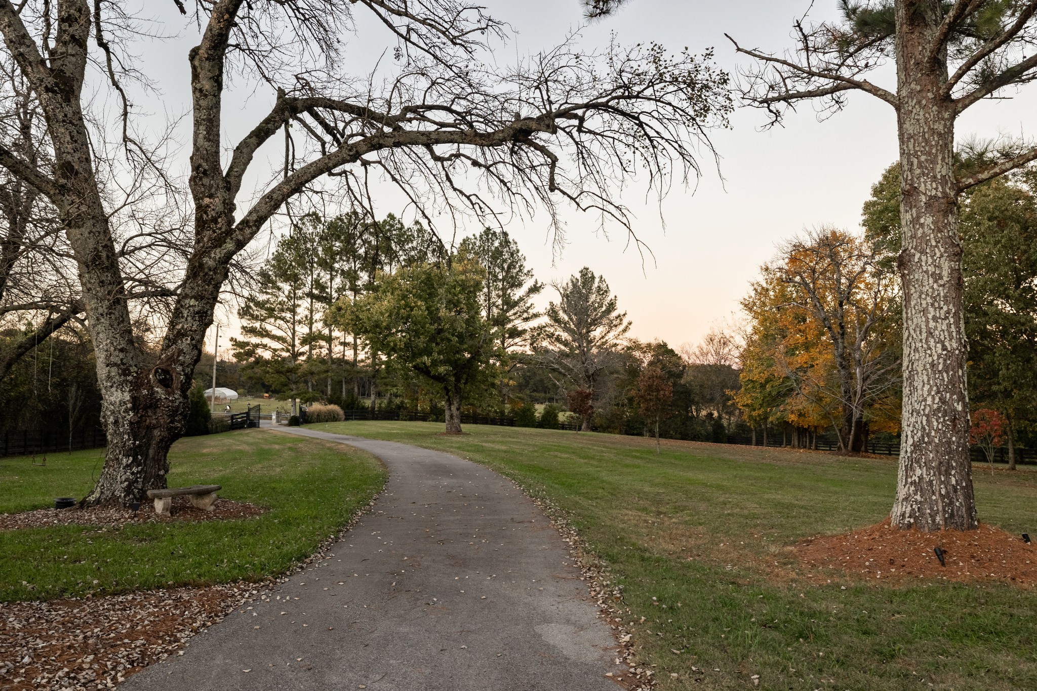 6537 Arno-College Grove Road College Grove, TN 37046 - Photo 60 of 75