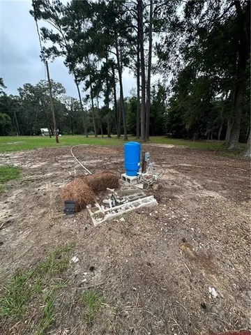 a view of a park with large trees