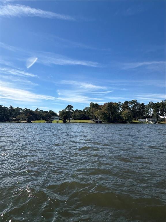 631 Flintside Drive Cobb, GA 31735 - Photo 6 of 6 a view of lake
