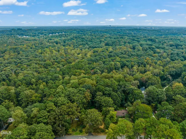a view of a big yard with plants and large trees