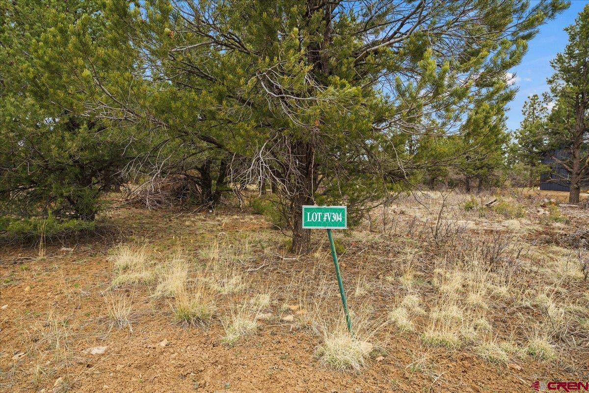 1696 Marmot Drive Ridgway, CO 81432 - Photo 11 of 18