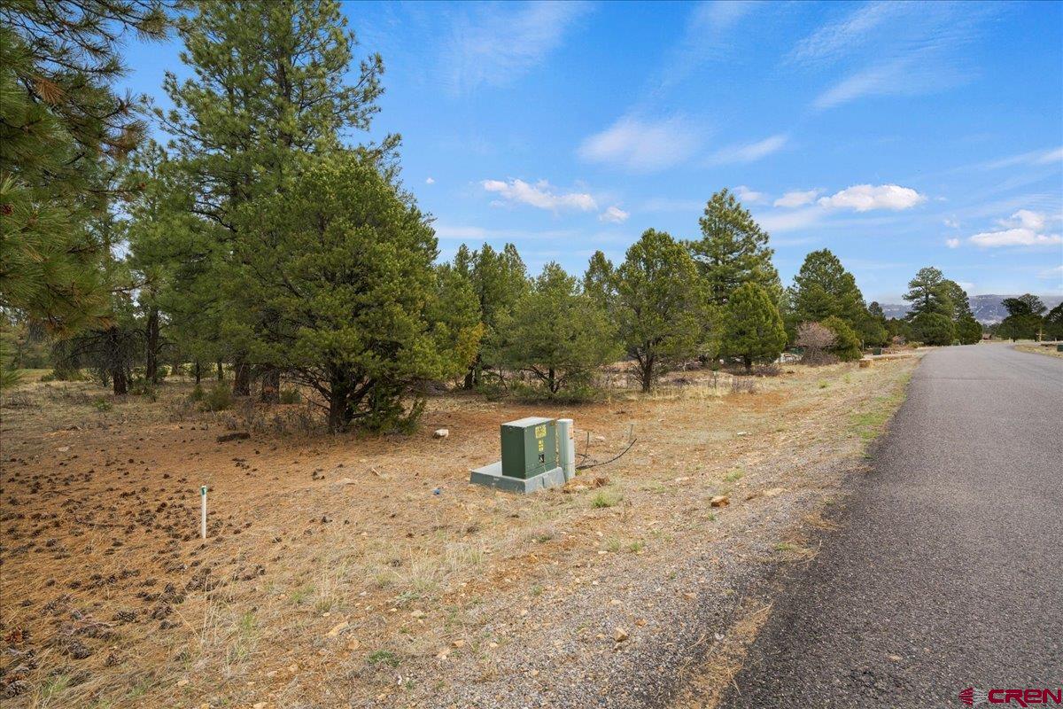 1696 Marmot Drive Ridgway, CO 81432 - Photo 13 of 18