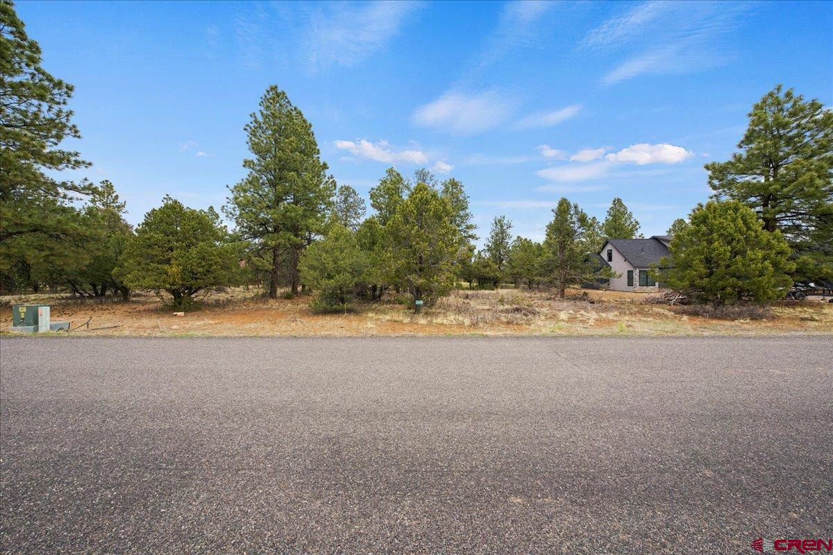 1696 Marmot Drive Ridgway, CO 81432 - Photo 14 of 18