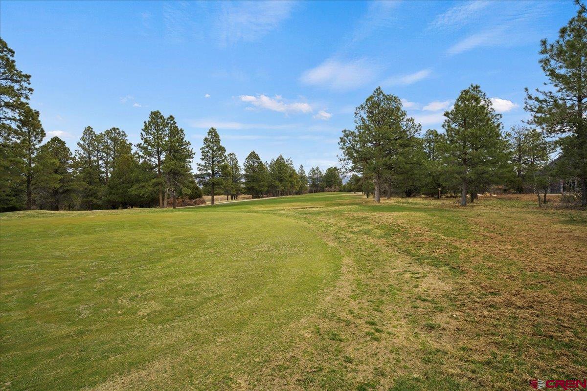 1696 Marmot Drive Ridgway, CO 81432 - Photo 15 of 18