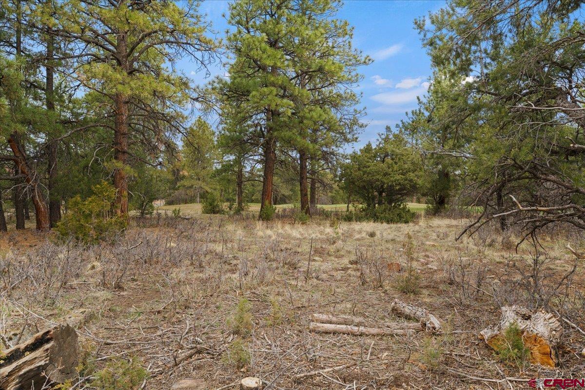 1696 Marmot Drive Ridgway, CO 81432 - Photo 17 of 18