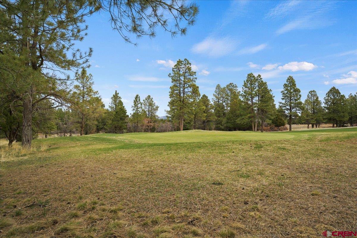 1696 Marmot Drive Ridgway, CO 81432 - Photo 18 of 18