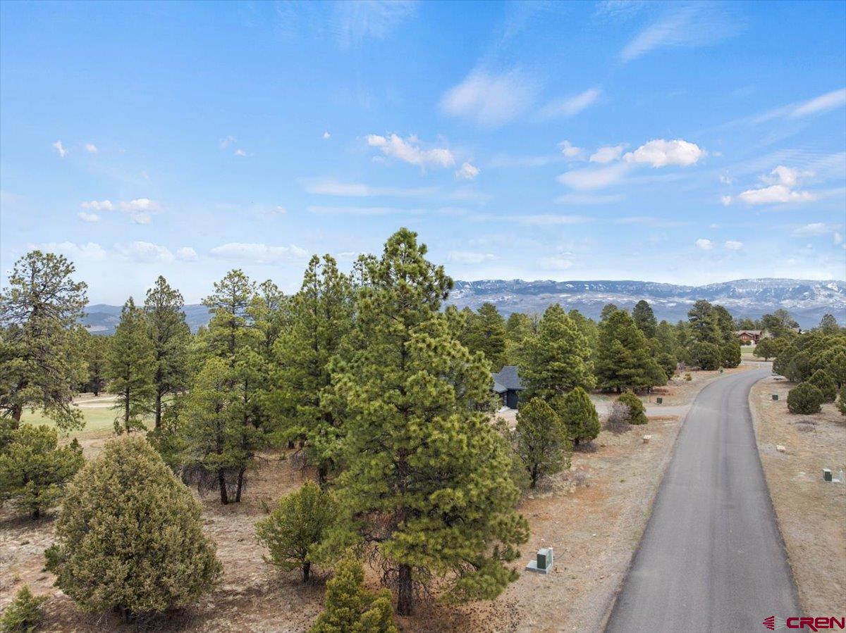 1696 Marmot Drive Ridgway, CO 81432 - Photo 2 of 18