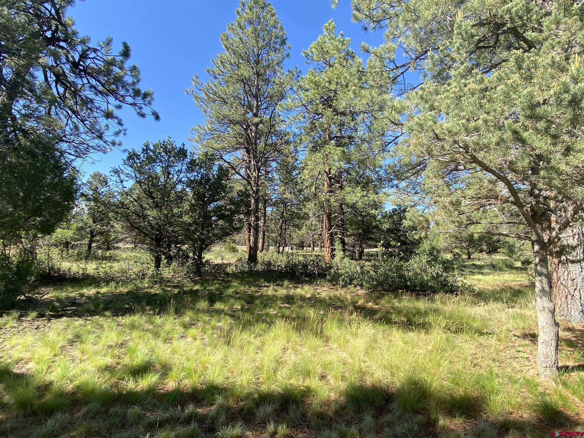 1696 Marmot Drive Ridgway, CO 81432 - Photo 4 of 18