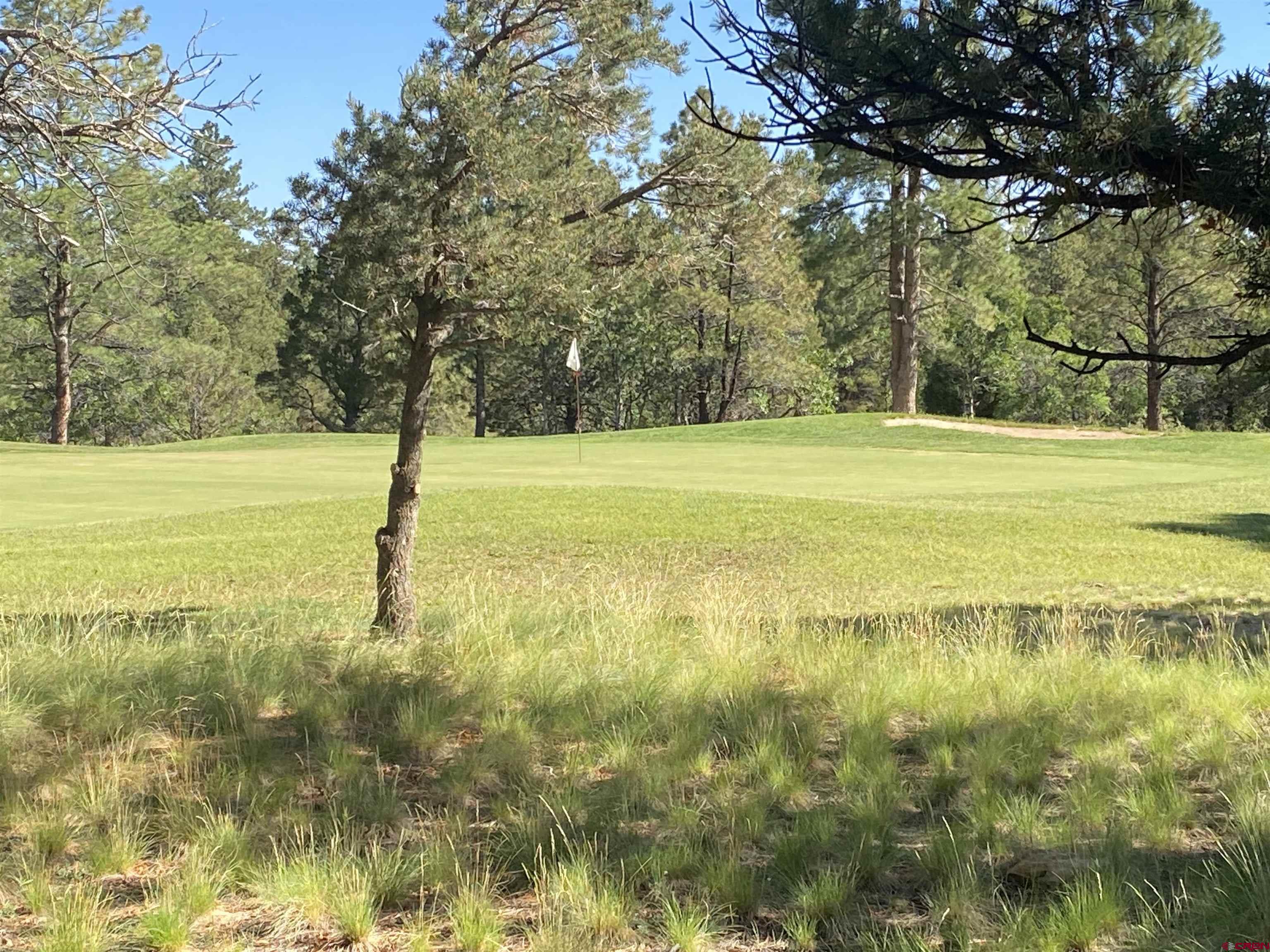 1696 Marmot Drive Ridgway, CO 81432 - Photo 5 of 18