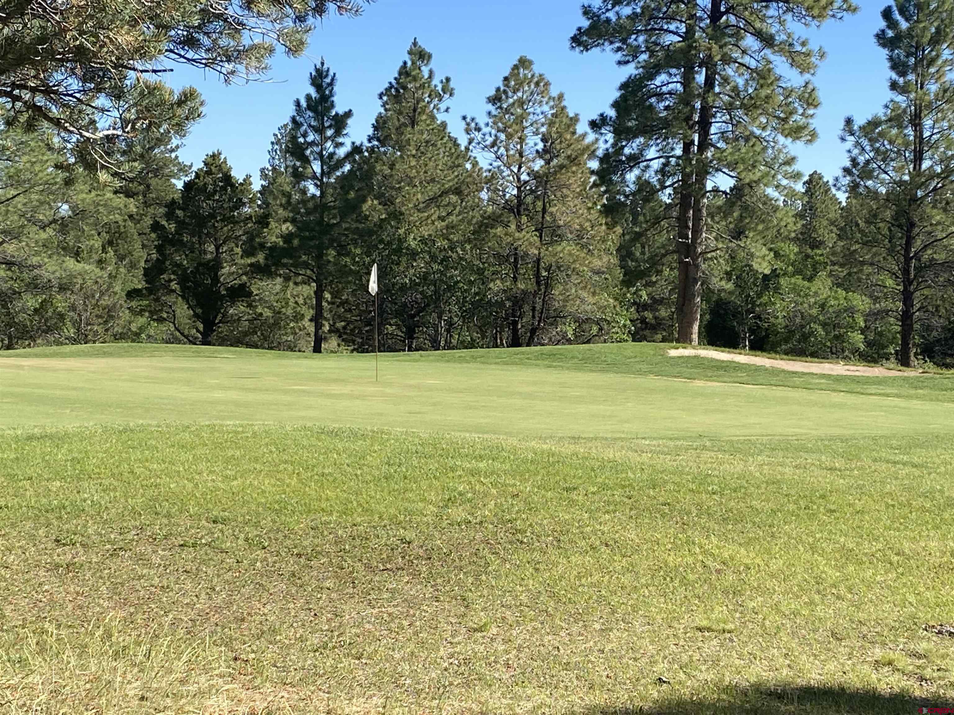 1696 Marmot Drive Ridgway, CO 81432 - Photo 6 of 18