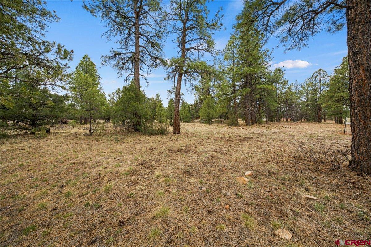 1696 Marmot Drive Ridgway, CO 81432 - Photo 8 of 18