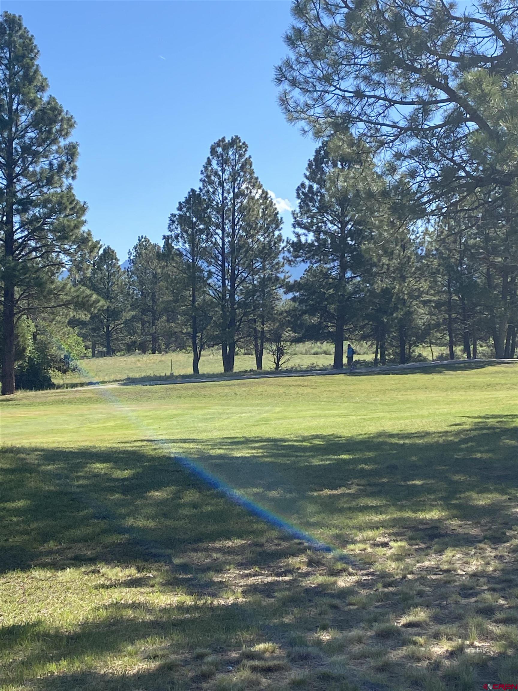 1696 Marmot Drive Ridgway, CO 81432 - Photo 9 of 18