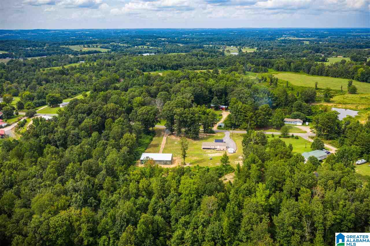 2900 Wilson Chapel Road Altoona, AL 35952 - Photo 50 of 50