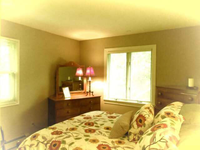 6665 Lierman Road Imlay City, MI 48444 - Photo 16 of 46 21177400-15.JPG