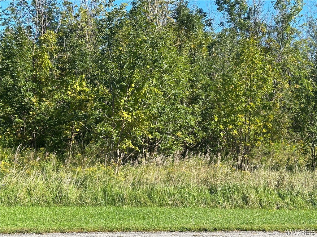 Vl Lake Road Barker, NY 14012 - Photo 1 of 3 Gallery Image 1