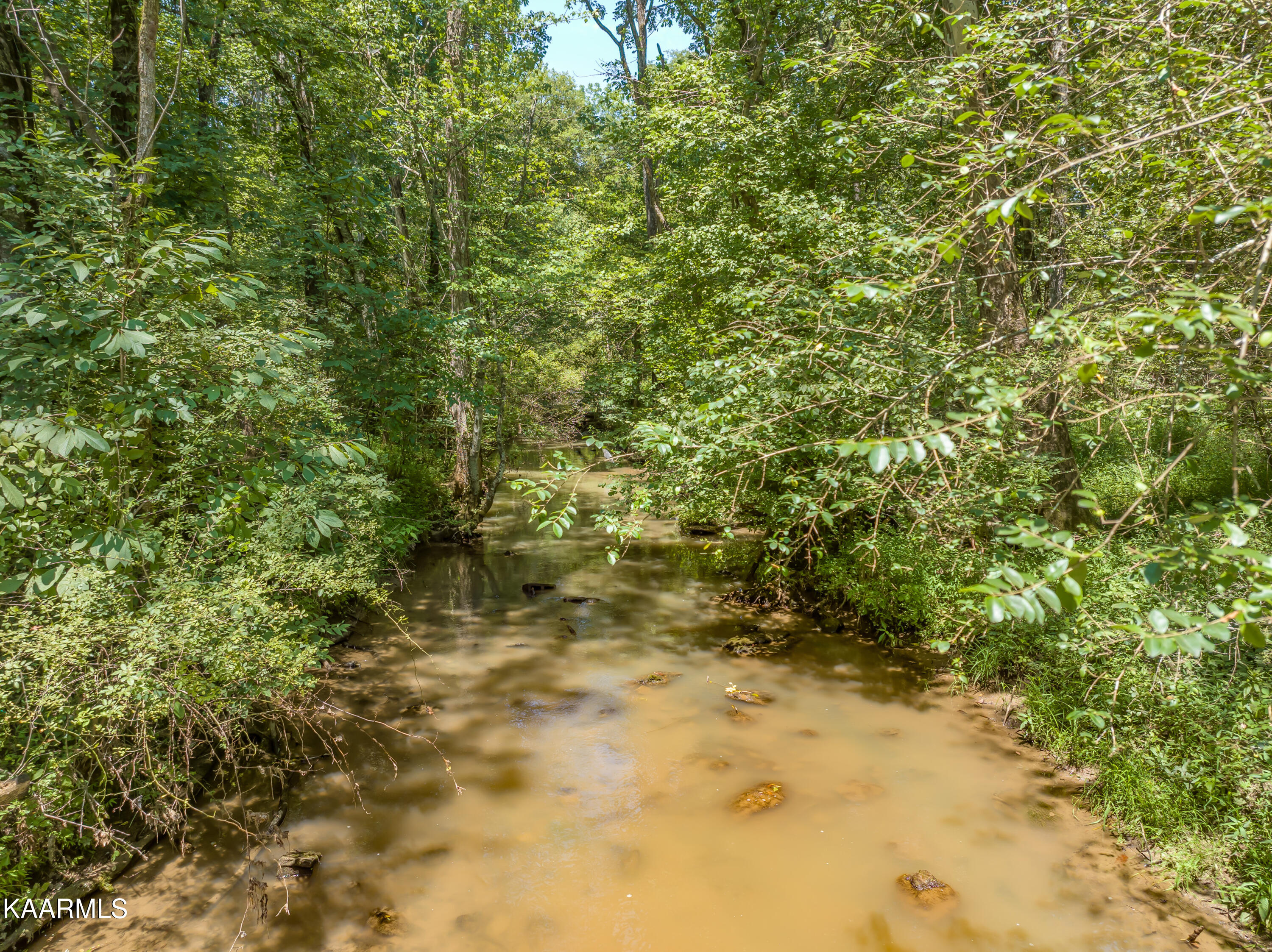 612 Prospect Road Walland, TN 37886 - Photo 9 of 11 Creek