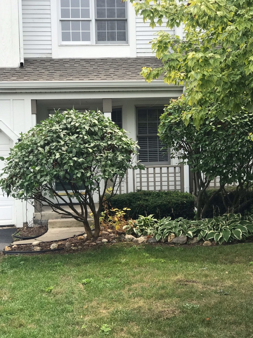 315 Spring Point Drive Carpentersville, IL 60110 - Photo 2 of 21 a front view of a house with a garden