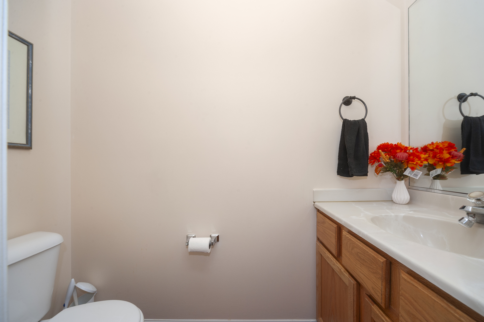 315 Spring Point Drive Carpentersville, IL 60110 - Photo 10 of 21 a bathroom with a sink and a toilet
