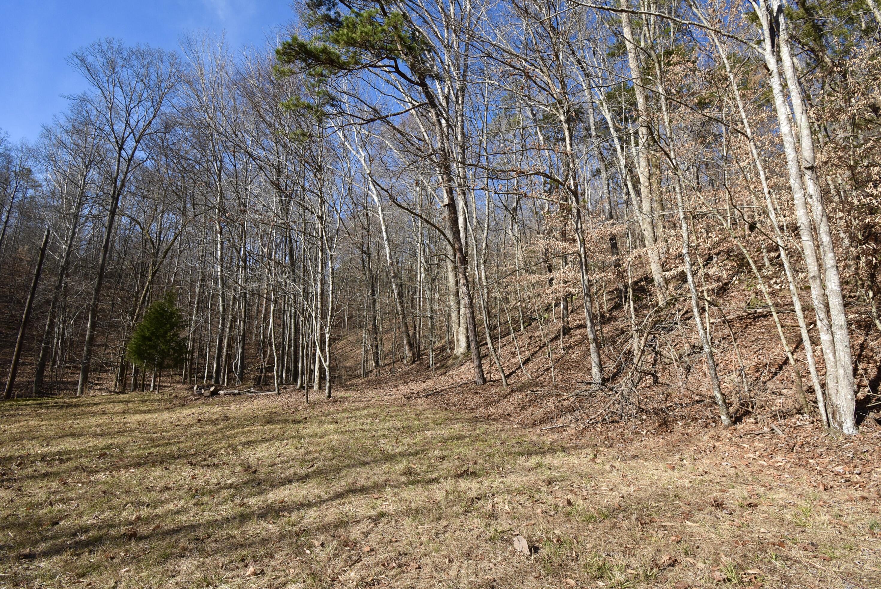 475 Harmon Road Somerset, KY 42501 - Photo 18 of 48 E4C105FE-29DF-4FEE-B257-FD5FB227F3CE_1_2
