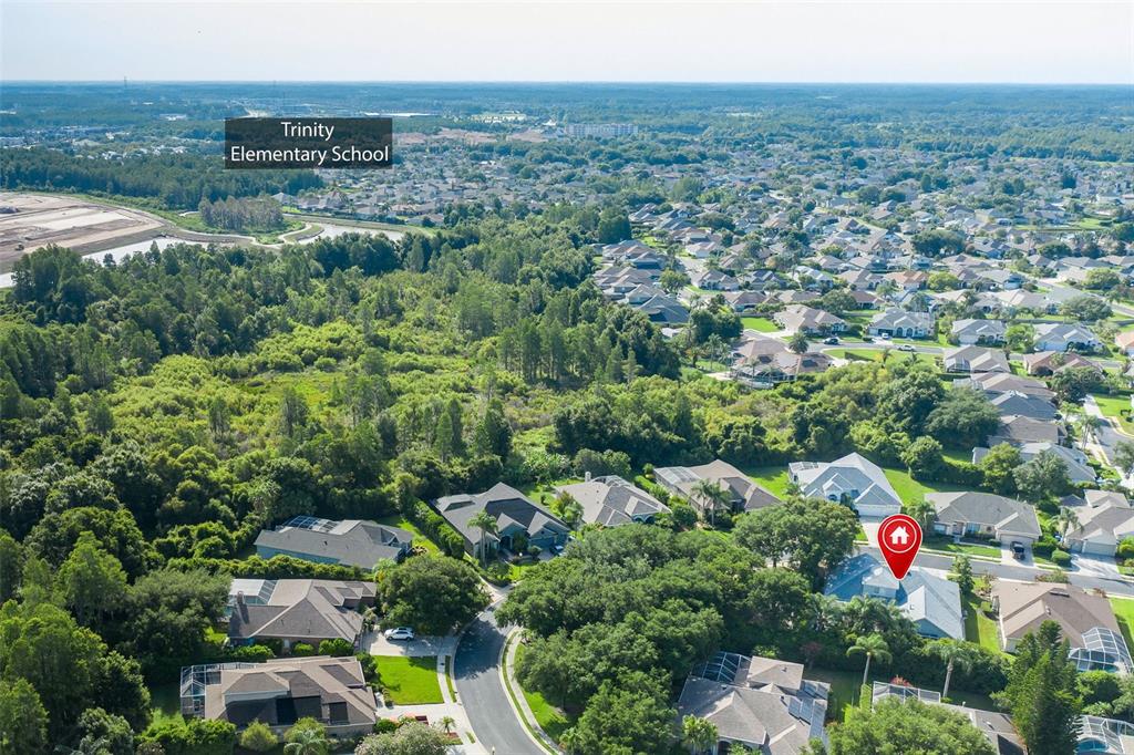 2151 Edelweiss Loop Trinity, FL 34655 - Photo 69 of 78