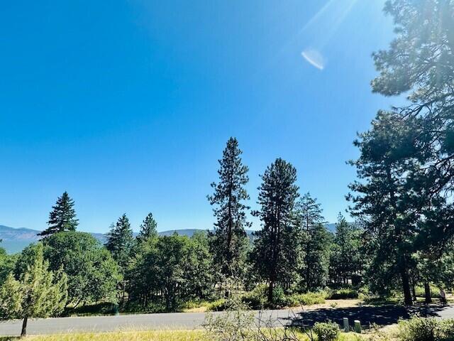 Coopers Hawk Road Klamath Falls, OR 97601 - Photo 6 of 10 6
