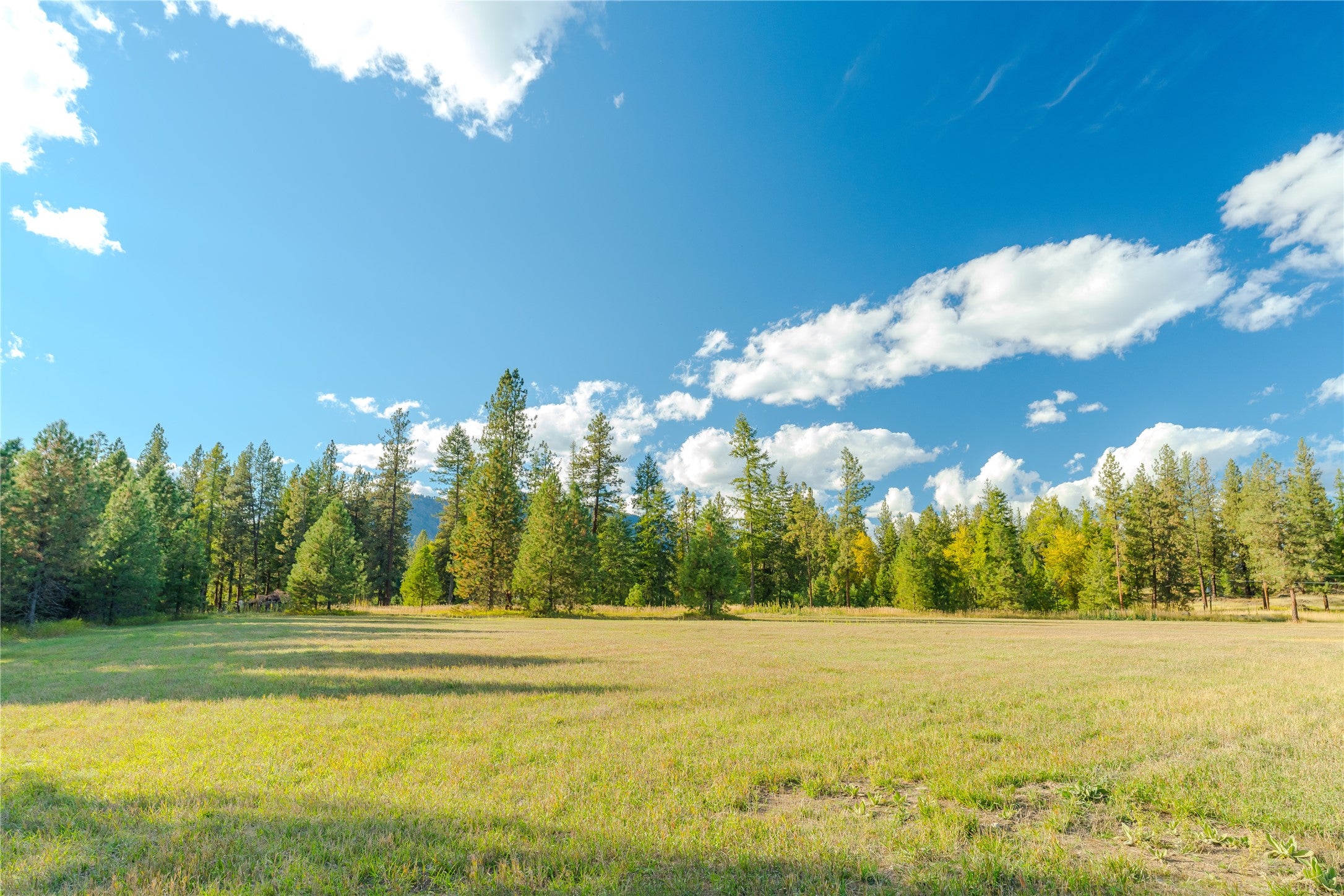 64 Cherry Creek Road Thompson Falls, MT 59873 - Photo 66 of 96 Gallery Image 66