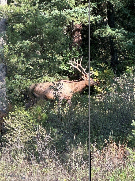 525 Colt Road Bozeman, MT 59715 - Photo 71 of 73 Gallery Image 71
