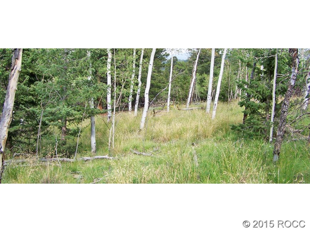 777 Blacksmith Road Hartsel, CO 80449 - Photo 1 of 9 a view of outdoor space and garden