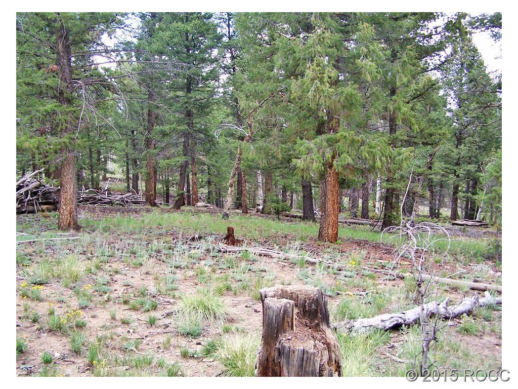 777 Blacksmith Road Hartsel, CO 80449 - Photo 5 of 9 a backyard of a house with lots of green space