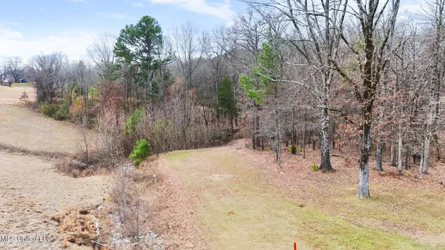 $200,000 | North Us-51, Nesbit, MS 38651