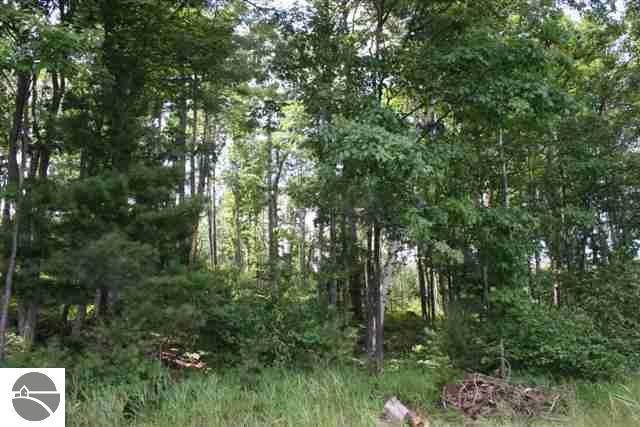 1045 Tranquil Point Road, Unit LOT: 2 Traverse City, MI 49696 - Photo 8 of 10