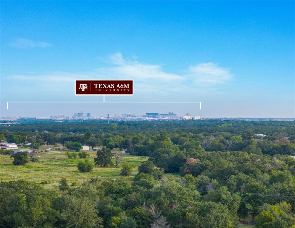 11754 Hickory Road College Station, TX 77845 - Photo 2 of 7 View of urban area with a forest