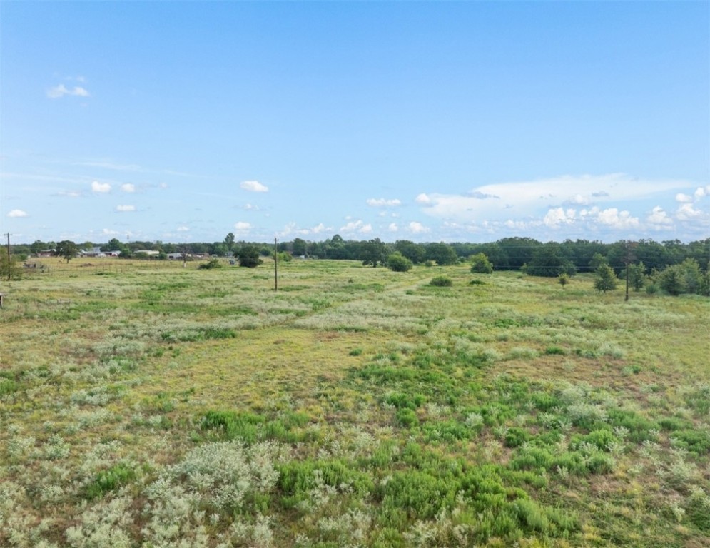 11754 Hickory Road College Station, TX 77845 - Photo 5 of 7 View of local wilderness with rural landscape
